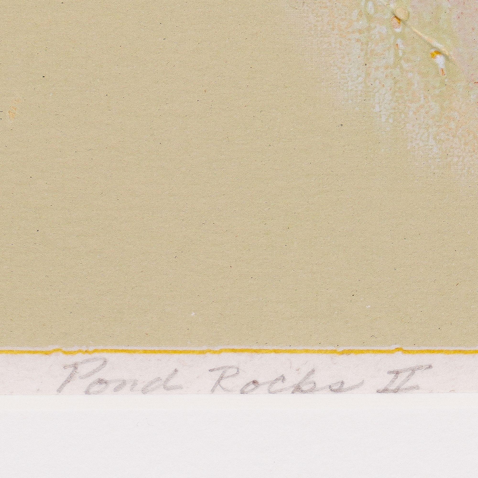 Late 20th Century Pond Rocks II by Barbara Romney, 1975 For Sale