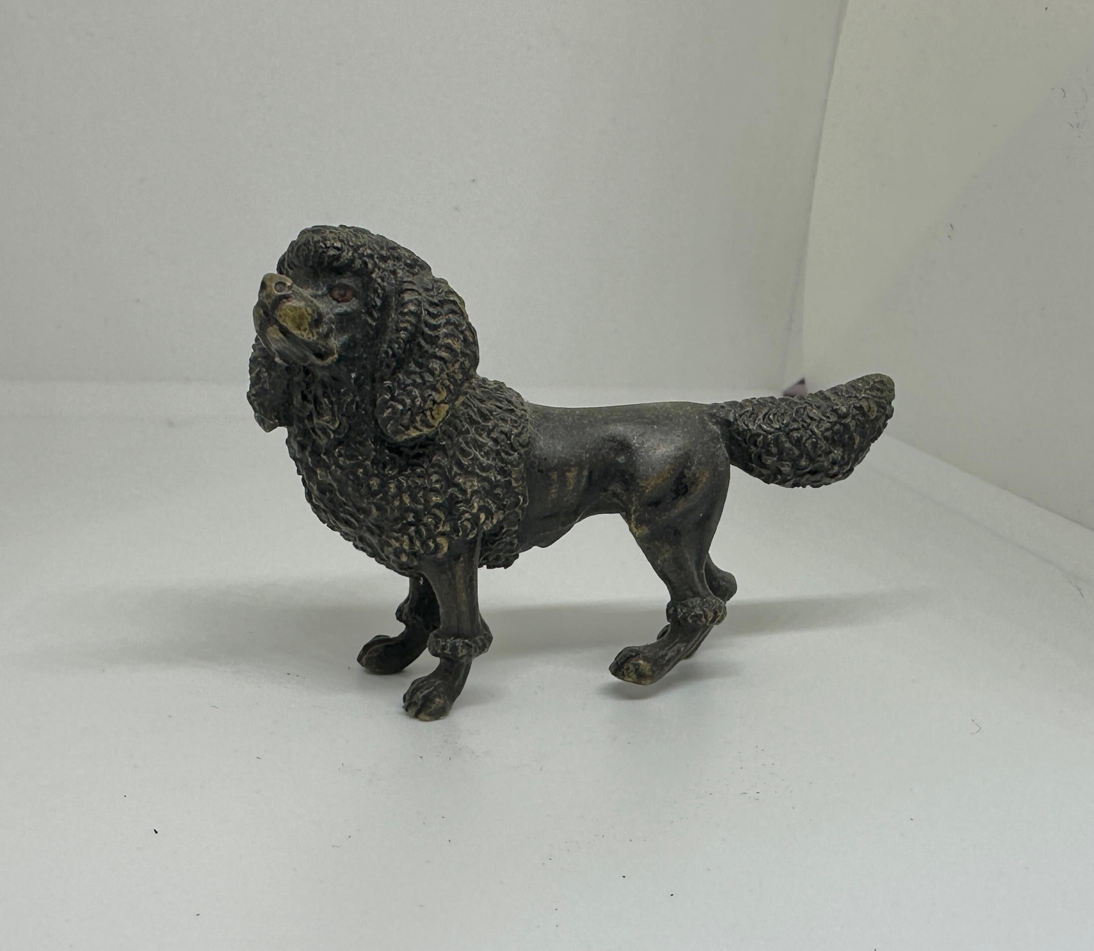 Chien caniche autrichien Vienna Bronze Circa 1900 Miniature en bronze peint à froid Excellent état - En vente à New York, NY