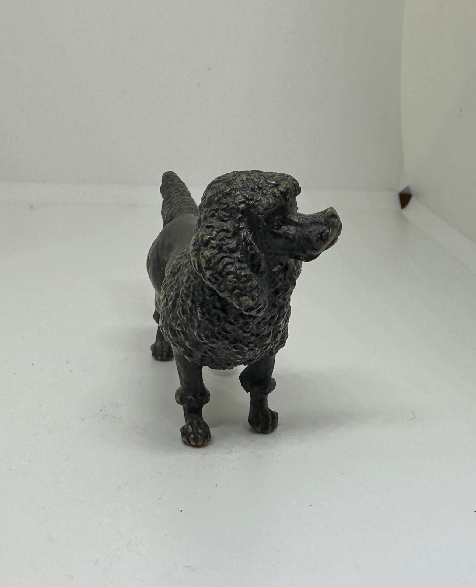 Chien caniche autrichien Vienna Bronze Circa 1900 Miniature en bronze peint à froid Unisexe en vente