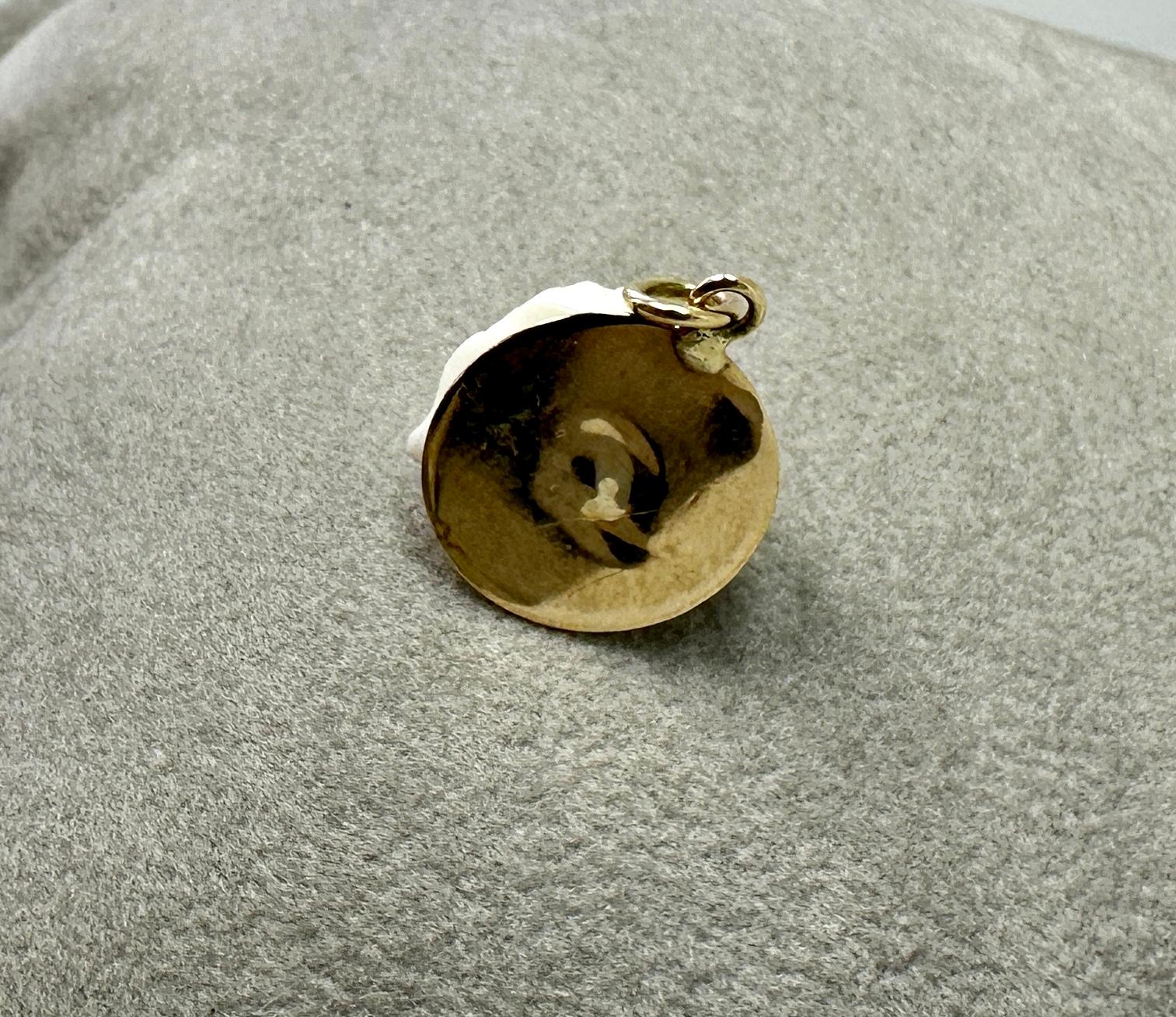 Poodle Dog King Charles Spaniel Koralle Anhänger Charm viktorianische Gold Halskette im Angebot 6