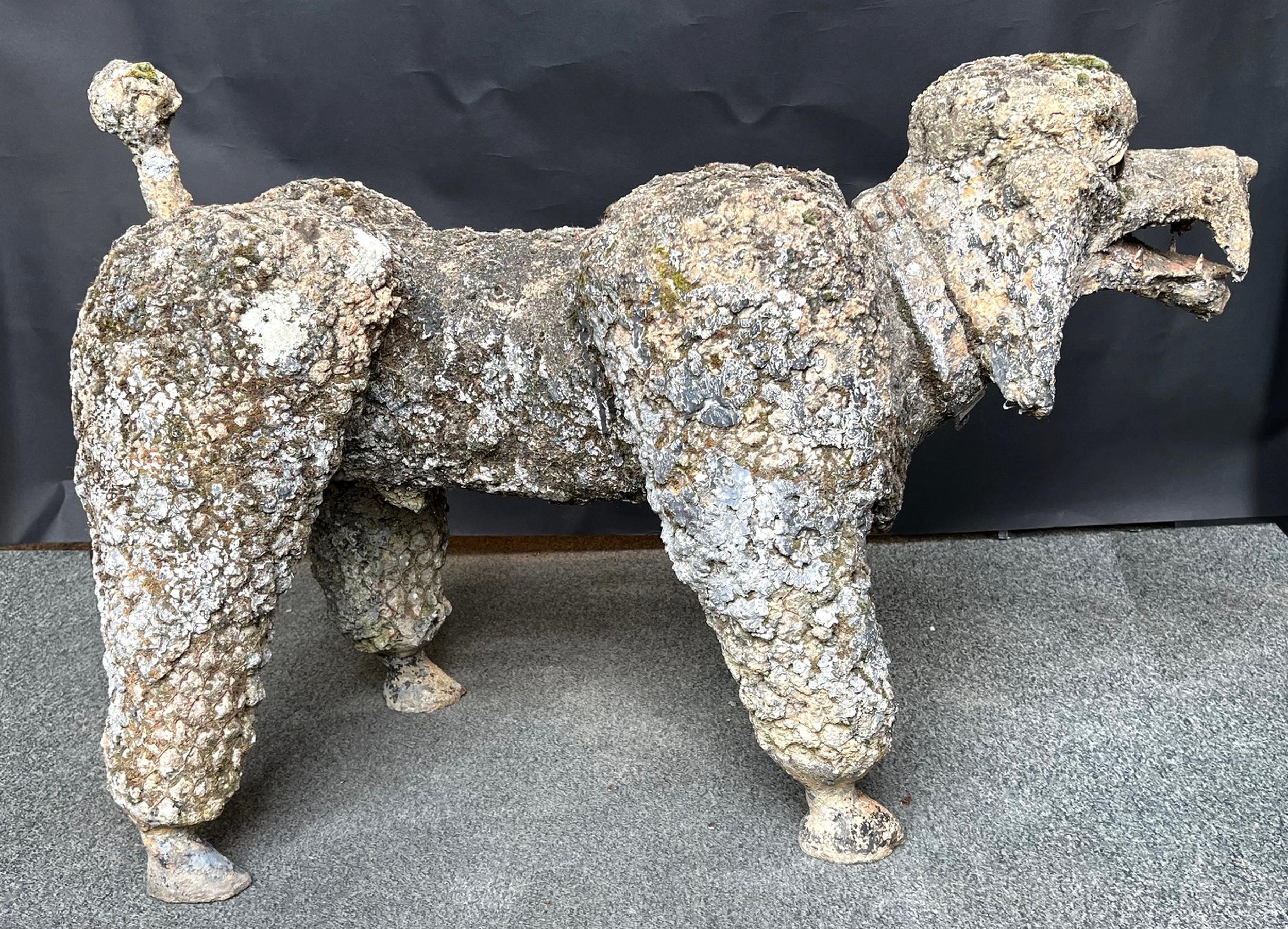Caniche en cemento Francia, hacia 1950 en Bueno estado para la venta en Paris, FR