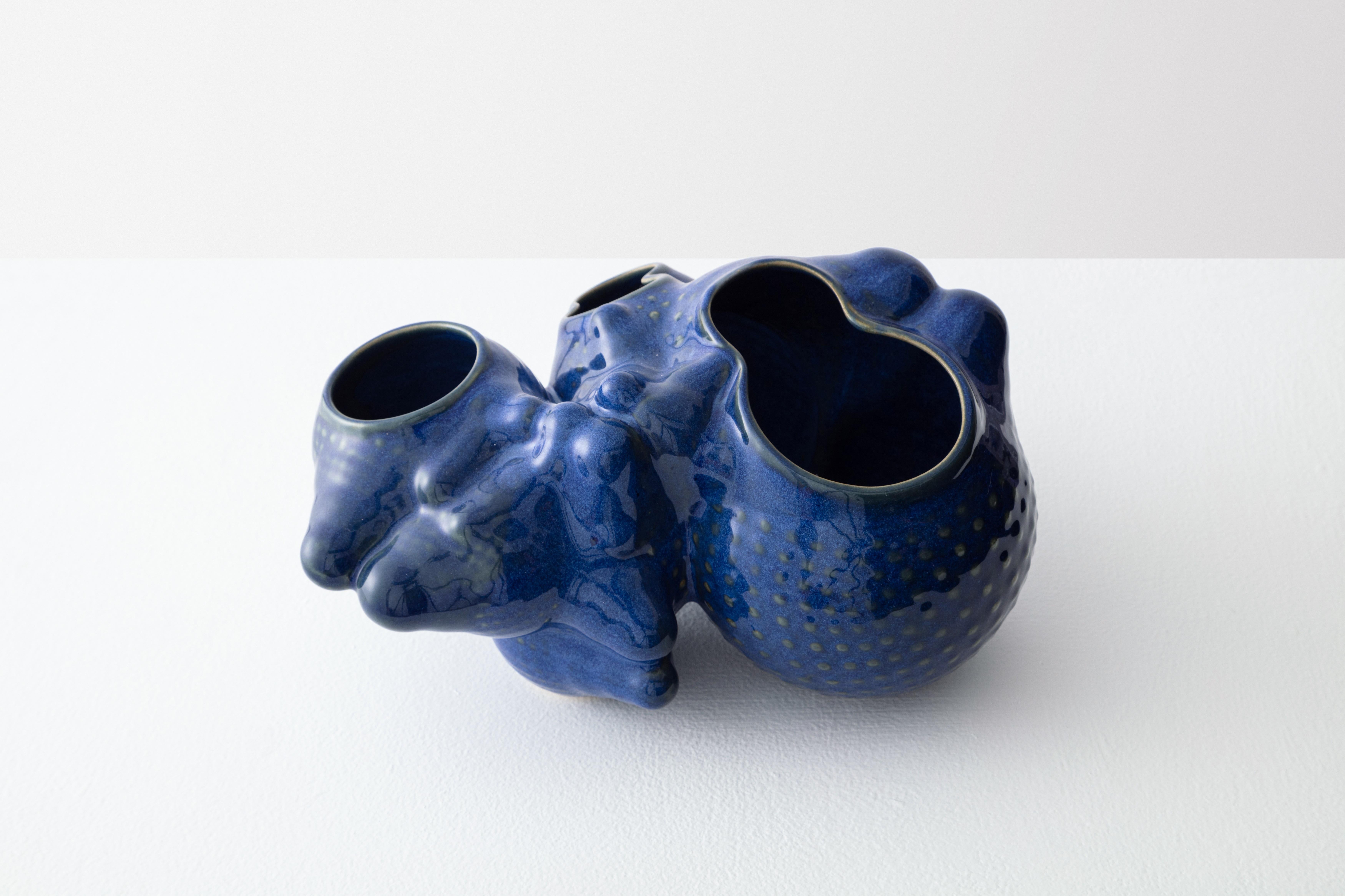 Pool Blue Pflanzgefäß in Botryoidform von Forma Rosa Studio
Abmessungen: T 28 x B 21,6 x H 25,4 cm.
MATERIALIEN: Keramisch.

Erhältlich in den Farben Bronze, Grün und Poolblau.

Unser Bubbly Planter wird digital gezüchtet, um das fraktale Wachstum