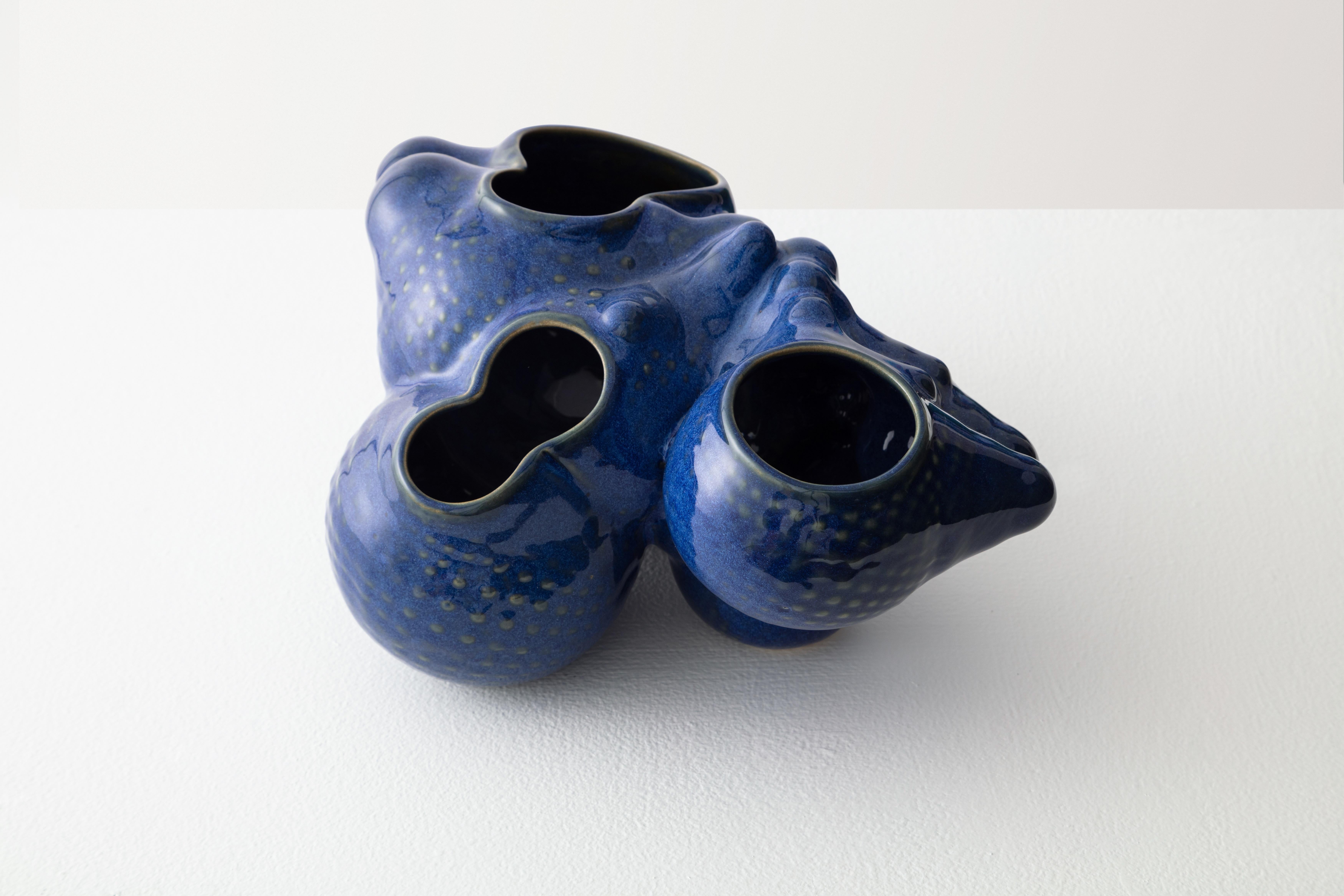Pool Blue Pflanzgefäß in Botryoidform von Forma Rosa Studio (amerikanisch) im Angebot