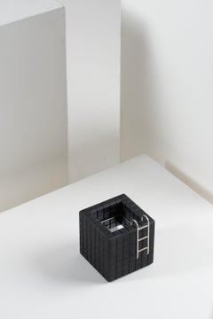 Pool Series, Mirror and PLA Black Sculpture N1