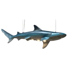 "POOL Shark" POOL Table Light
