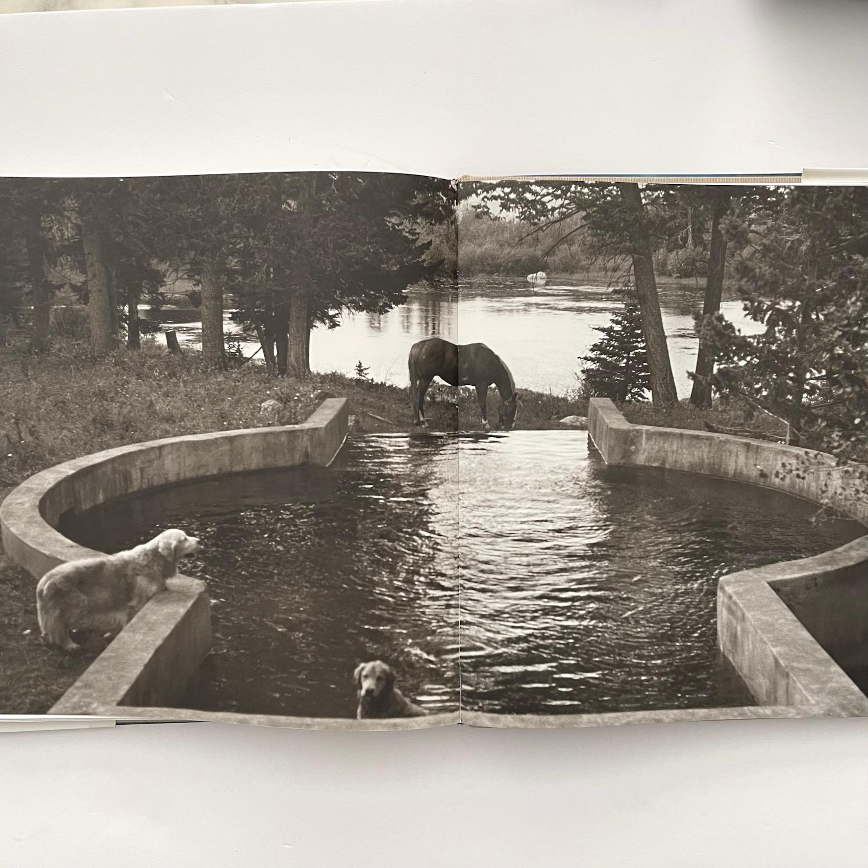 Piscine di Kelly Klein 1a edizione 1992 in vendita 1