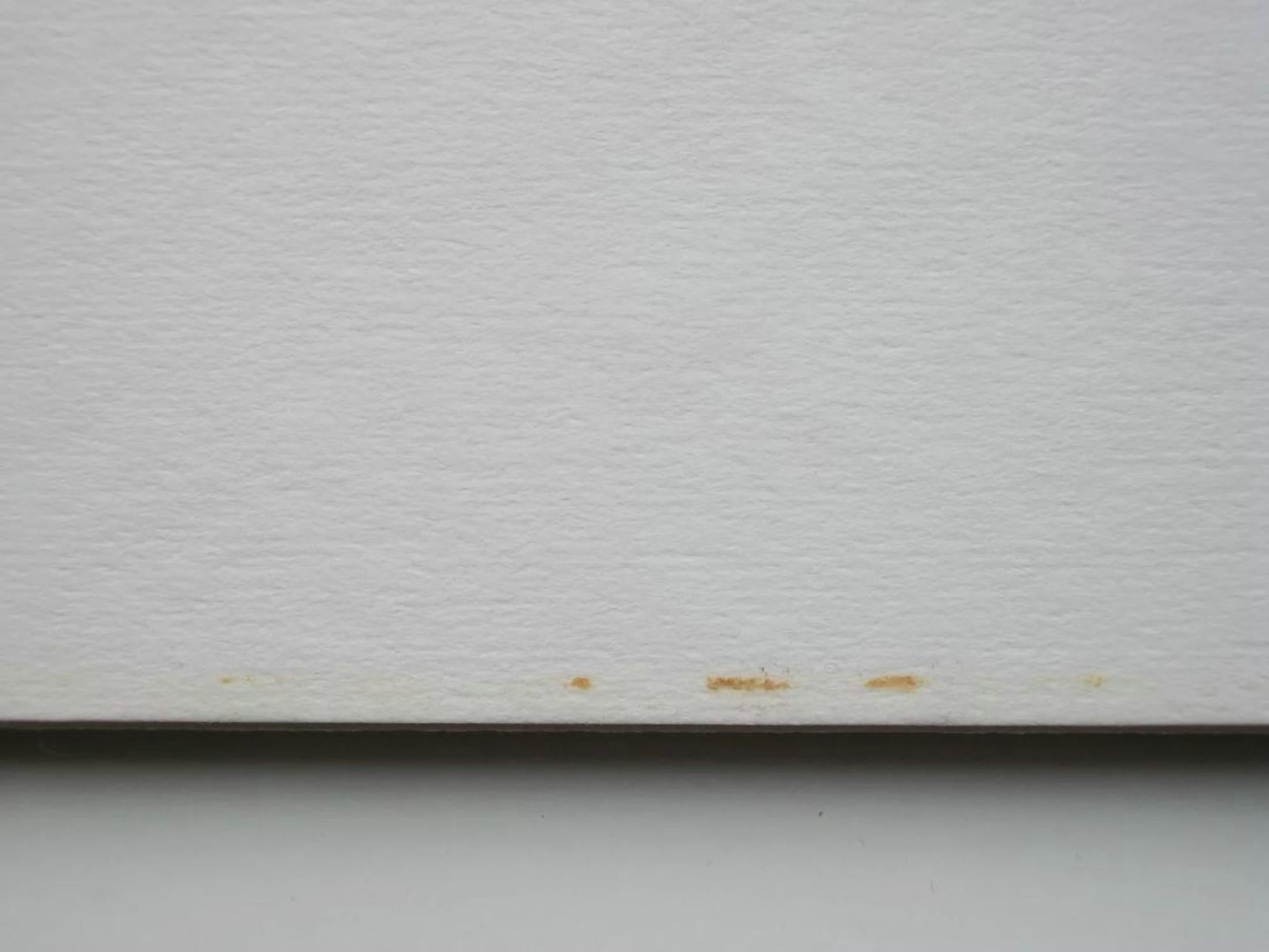 Pop Art Silkscreen Print on Paper - Signed & Numbered - Circa 1987 For Sale 1