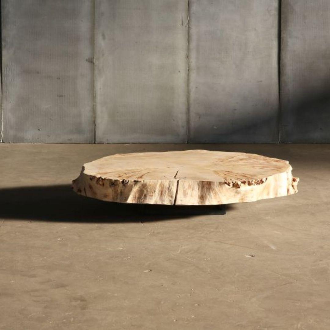 Cette table basse est véritablement unique en son genre ; elle est fabriquée à la main à partir d'un seul morceau de tronc de peuplier et repose sur un cadre métallique minimaliste. Le design organique apporte une touche de nature dans votre espace