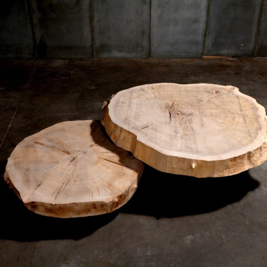 Belgian Poplar Trunk Coffee Table For Sale