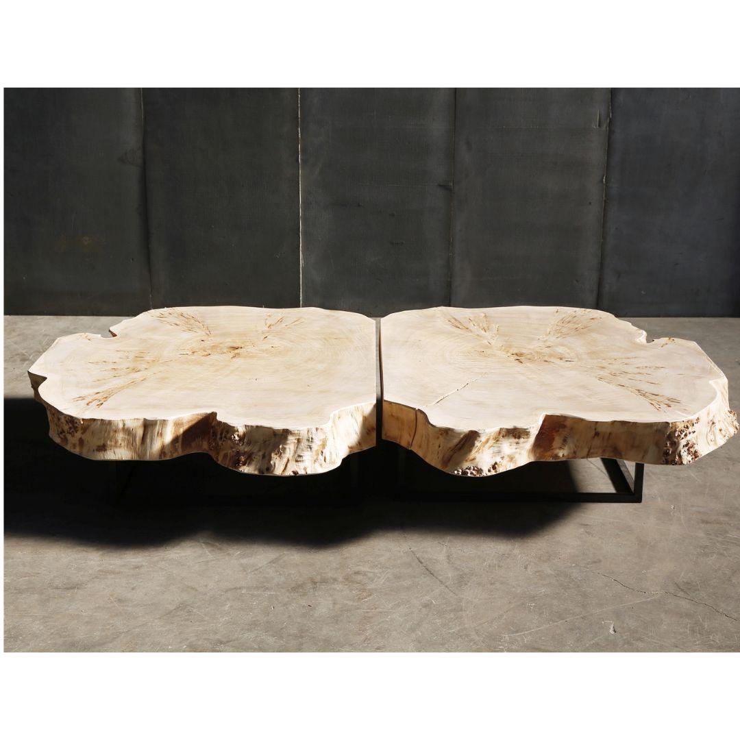 Poplar Trunk Coffee Table In New Condition For Sale In Amsterdam, NL