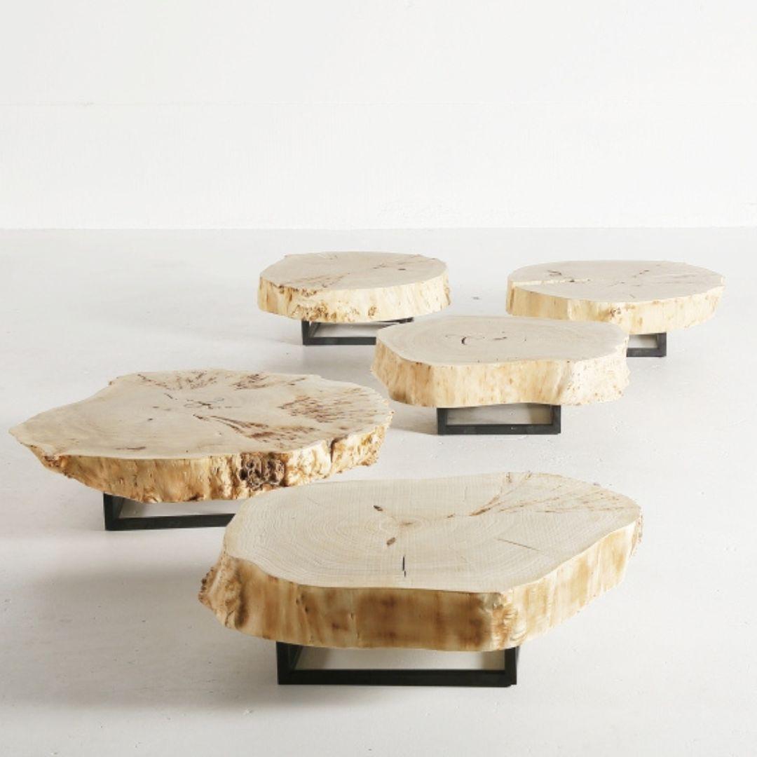 XXIe siècle et contemporain Table basse en peuplier en vente