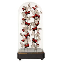 "Amapolas" de Hasharat - Lámpara de cristal del siglo XIX con mariposas