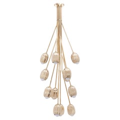 Poppy Polished Brass 12 Stem V Chandelier by Fred and Juul