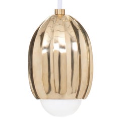 Poppy Polished Brass Pendant Lamp by Fred and Juul