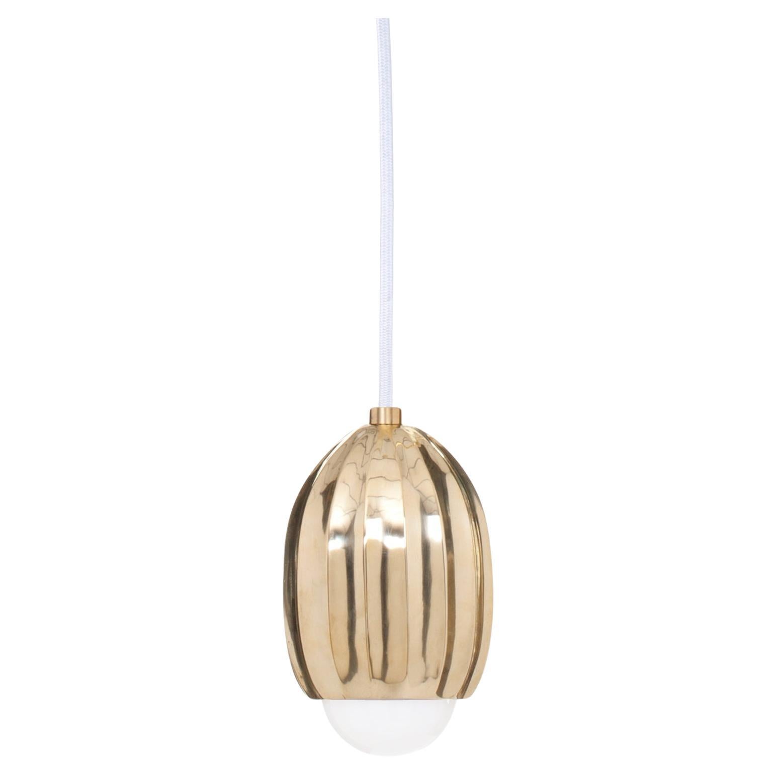 Poppy Polished Brass Pendant Lamp by Fred and Juul For Sale