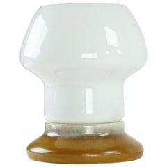 Porcelain and White Opaline Glass Table Light, Kamenicky Senov, Czechoslovakia