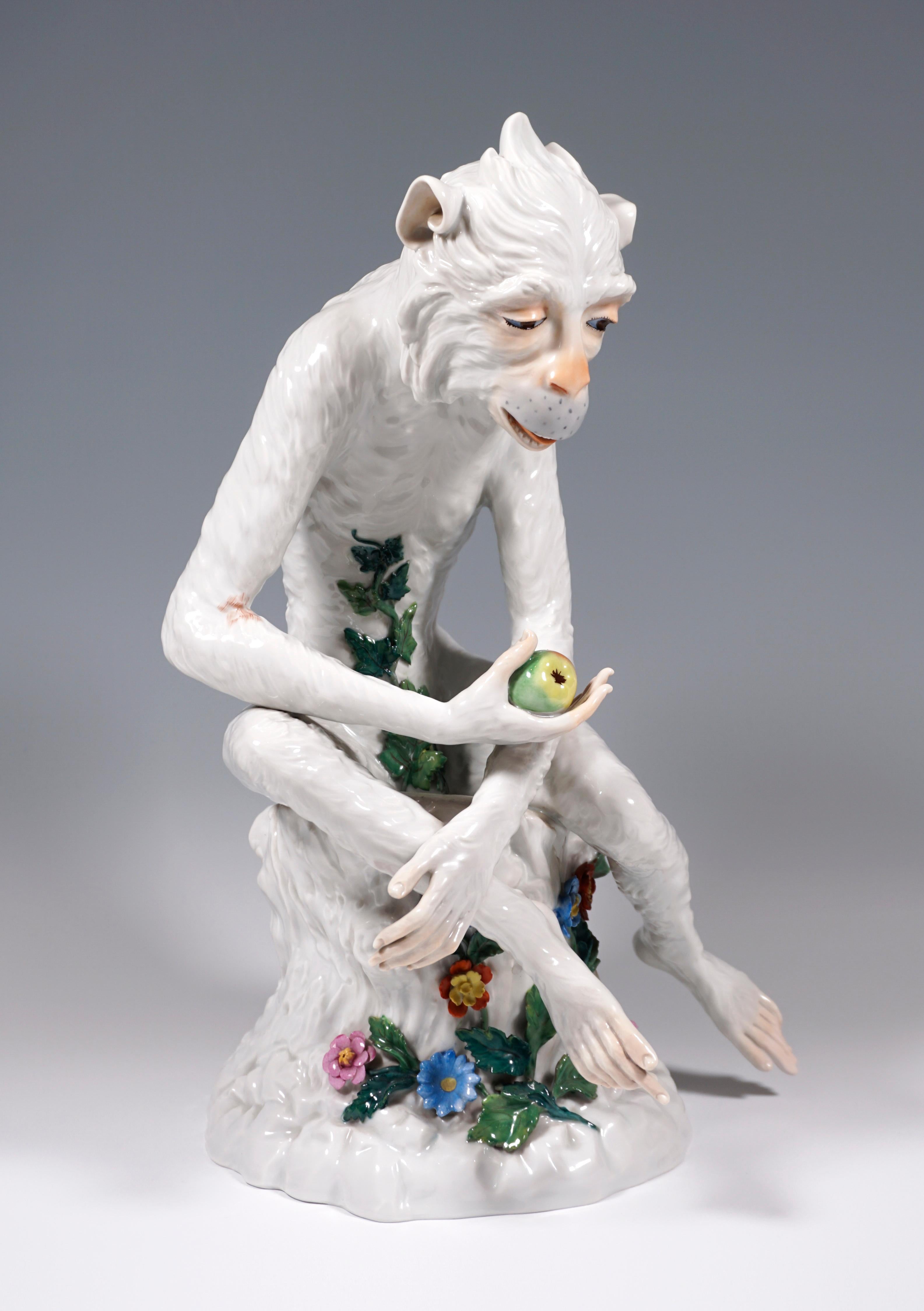 Remarkable animal figure made of the finest Dresden Porcelain around 1900.
Monkey sitting hunched over on a tree stump, holding an apple in his hand, in a naturalistic form based on the design by Johann Gottlieb Kirchner, with sparing, polychrome