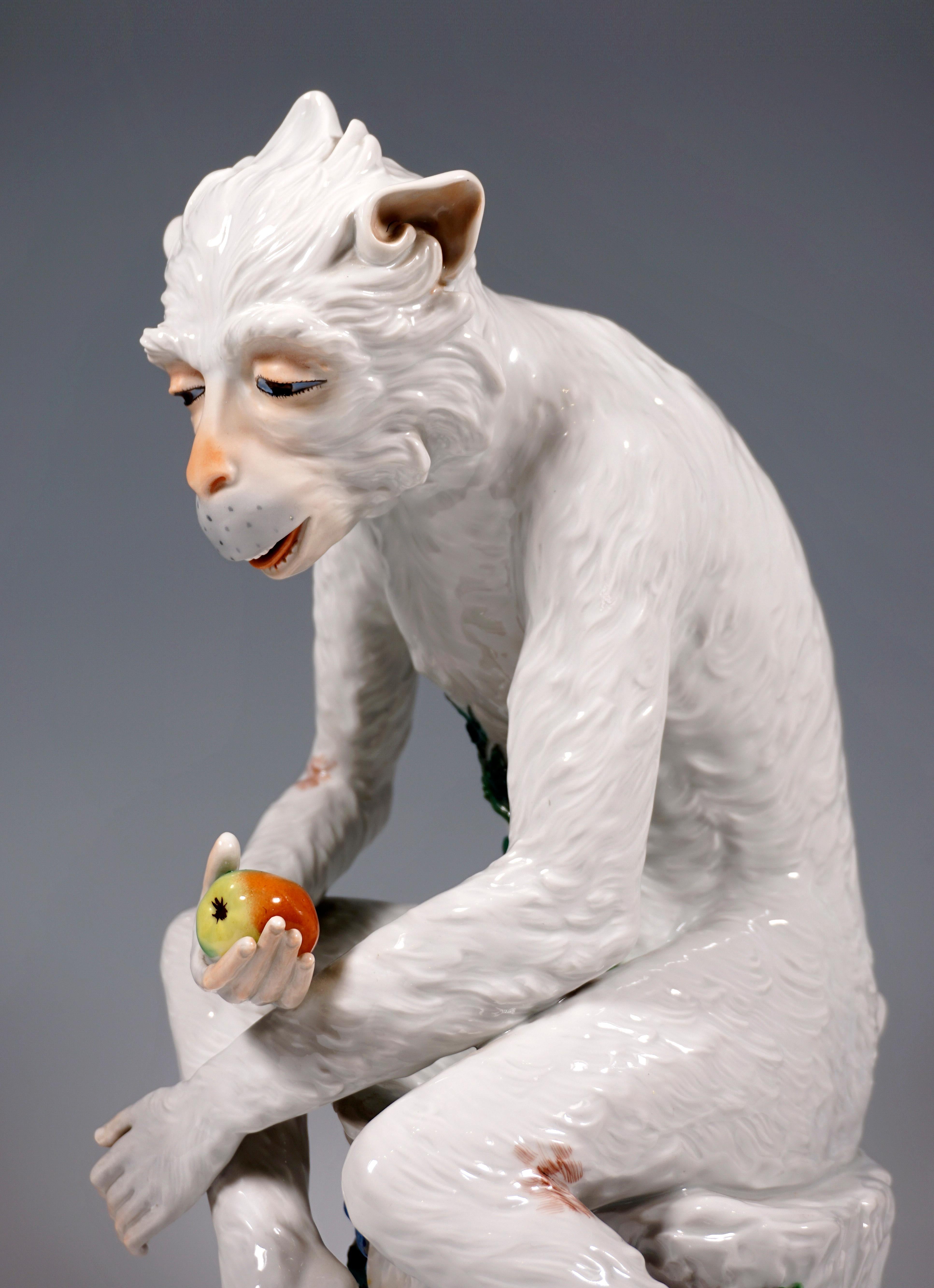 Baroque Porcelain Animal Figure 'Monkey With Apple' by J. G. Kirchner, Dresden, ca. 1905
