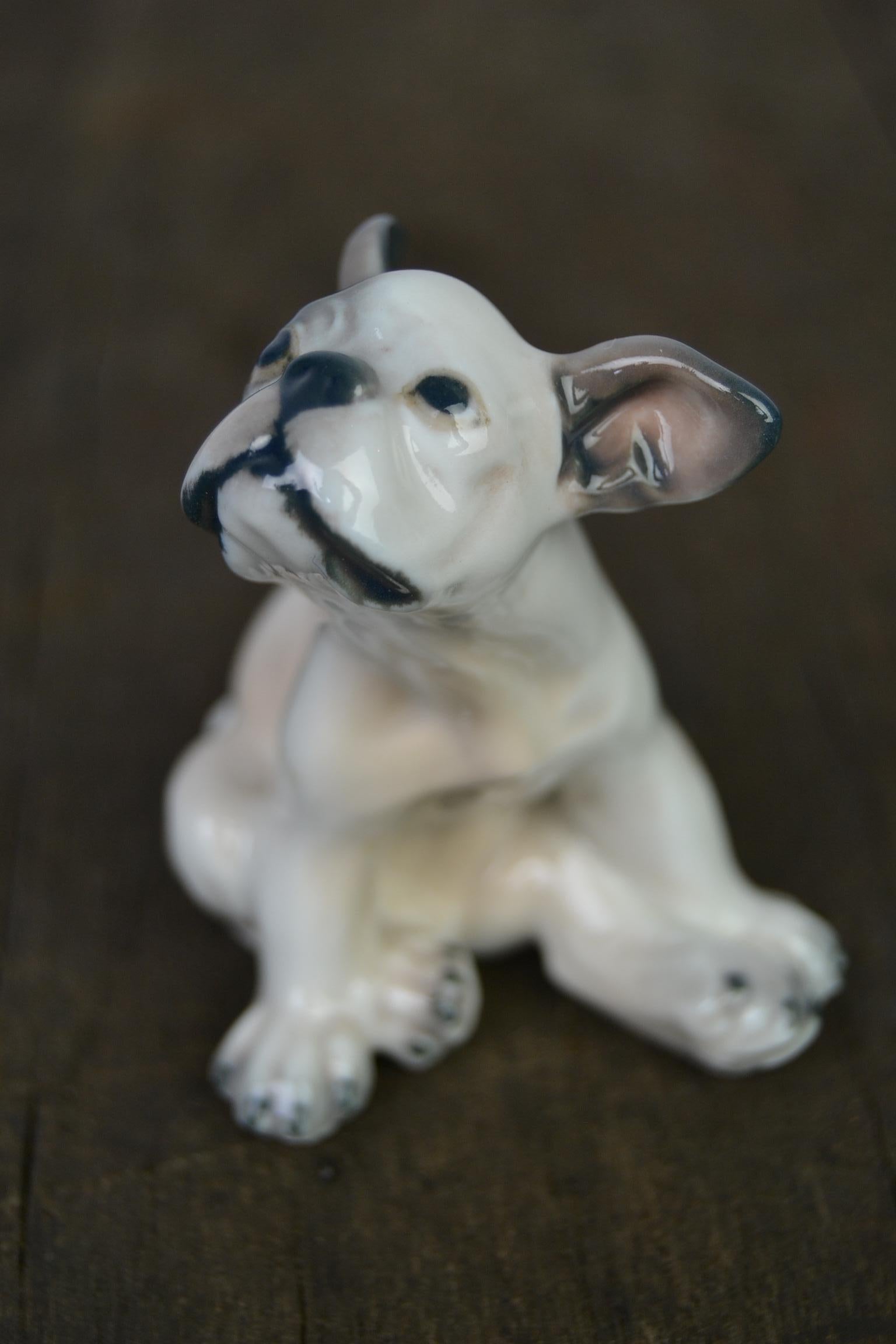 Porcelain Bulldog Puppy by Dahl Jensen, Denmark, 1930s For Sale 3