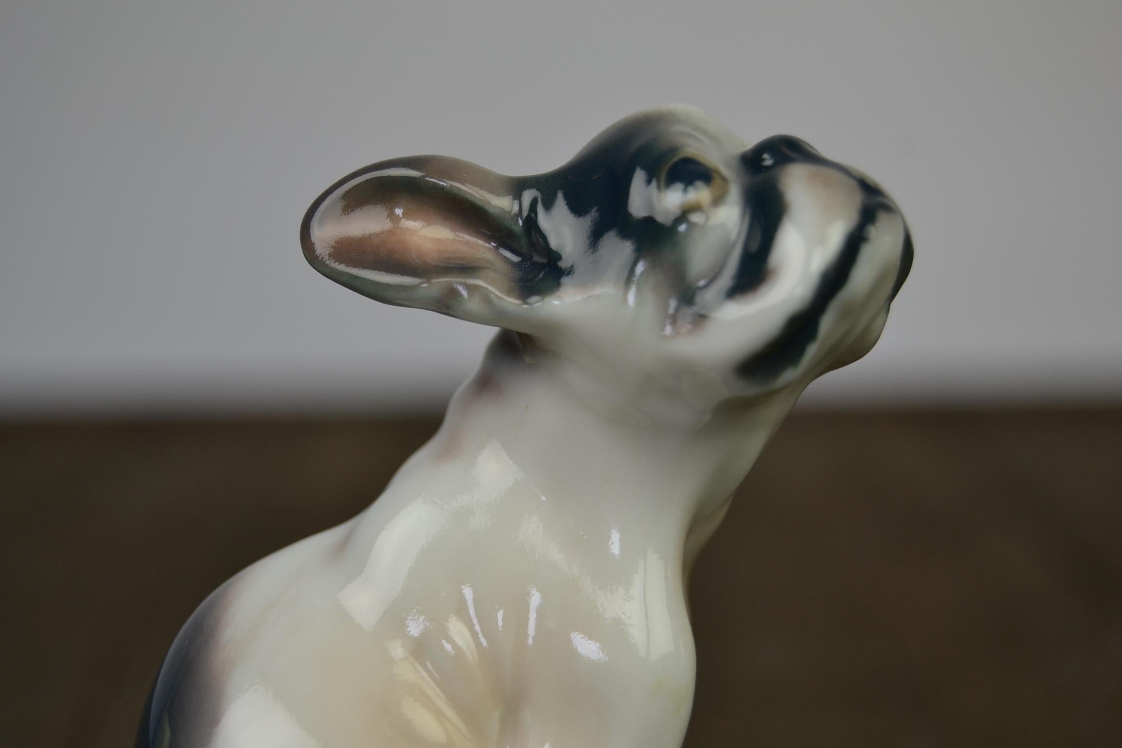 Porcelain bulldog puppy sculpture by Dahl Jensen, Denmark.
This high quality porcelain dog figurine with glazed painting dates
from the 1930s.
It was designed by the Danish Sculptor Dahl Jensen for Copenhagen Denmark Porcelain and has a Porcelain
