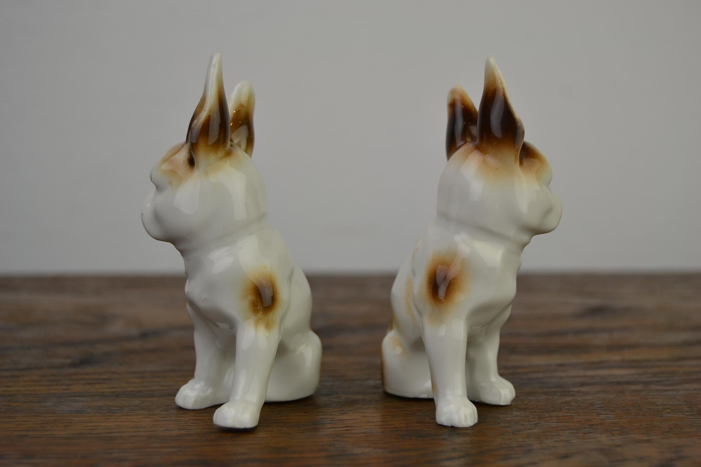 Porcelain Bulldog Shaped Salt and Pepper Shakers, Germany, Mid-20th Century 5