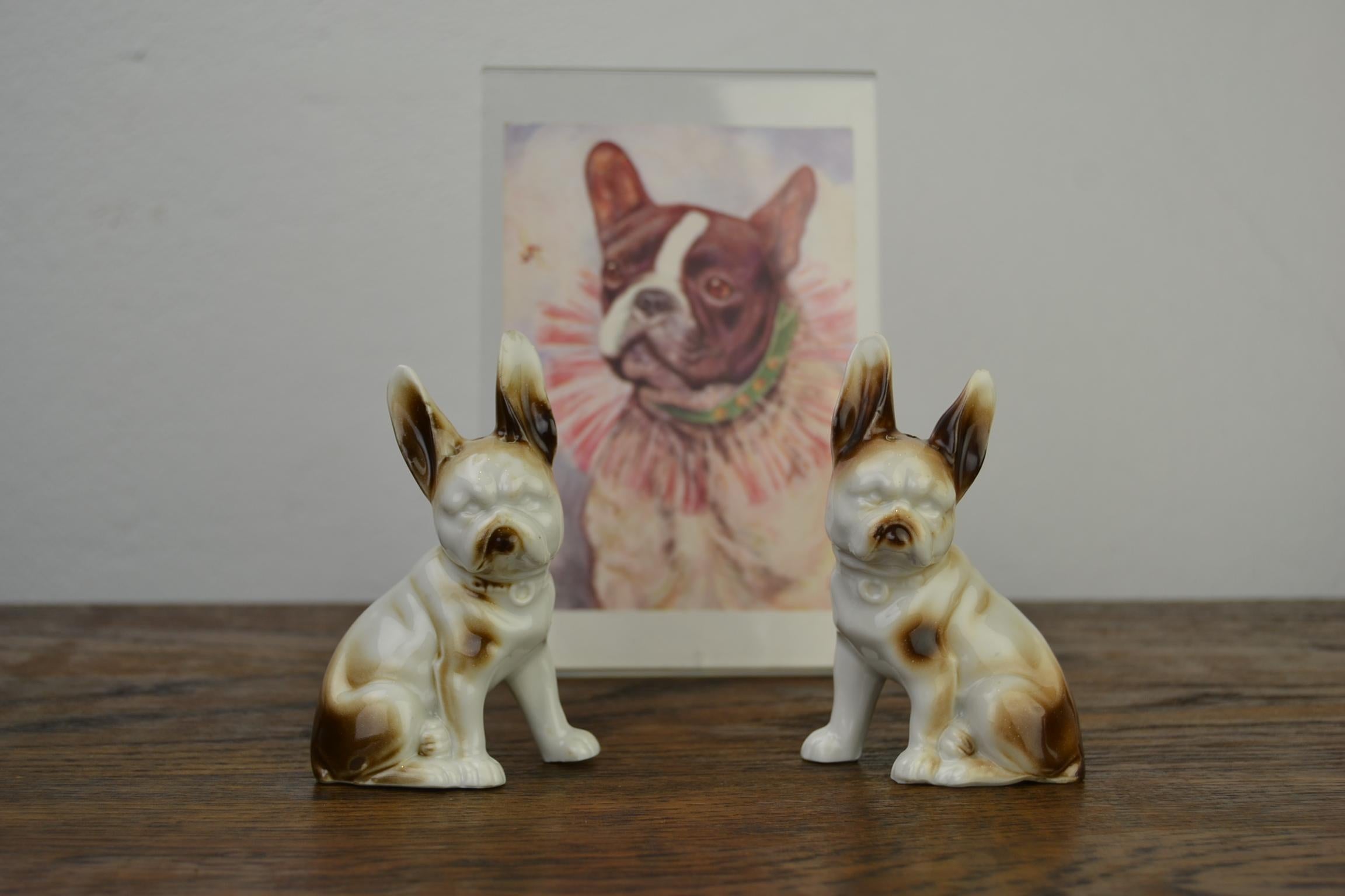 Porcelain Bulldog Shaped Salt and Pepper Shakers, Germany, Mid-20th Century 10