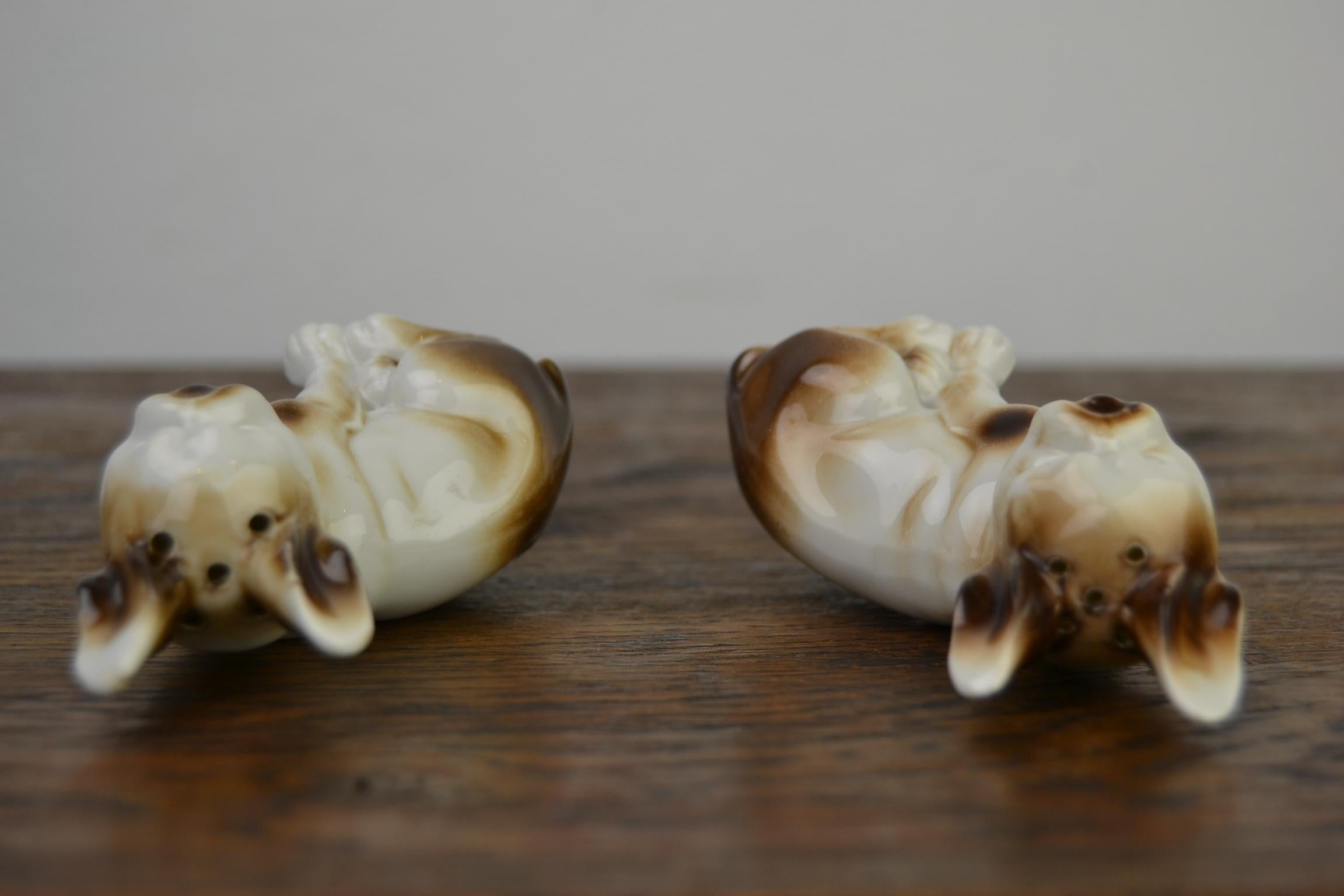 Porcelain Bulldog Shaped Salt and Pepper Shakers, Germany, Mid-20th Century 2