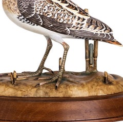 Porcelain - Common snipe sculpture - Vista Alegre