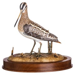 Porcelain - Common snipe sculpture - Vista Alegre