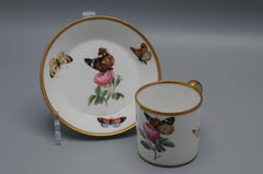 Porcelain Cup and Saucer with flowers and butterflies, early 19th century French