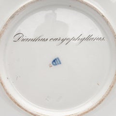 Plato decorativo de porcelana «Garden Carnation», de la Fábrica Imperial y Real, 1820