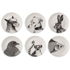 Assiettes plates en porcelaine avec portraits d'animaux en décalcomanie