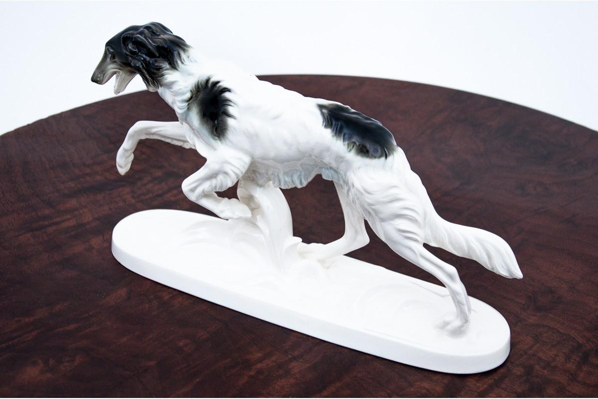russian greyhounds