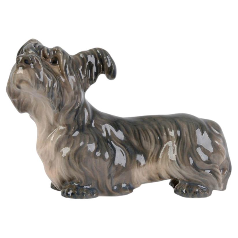 Porcelain Figure "Skye Terrier", Denmark By Dahl Jensen, Copenhagen, 1928 - 1939 For Sale