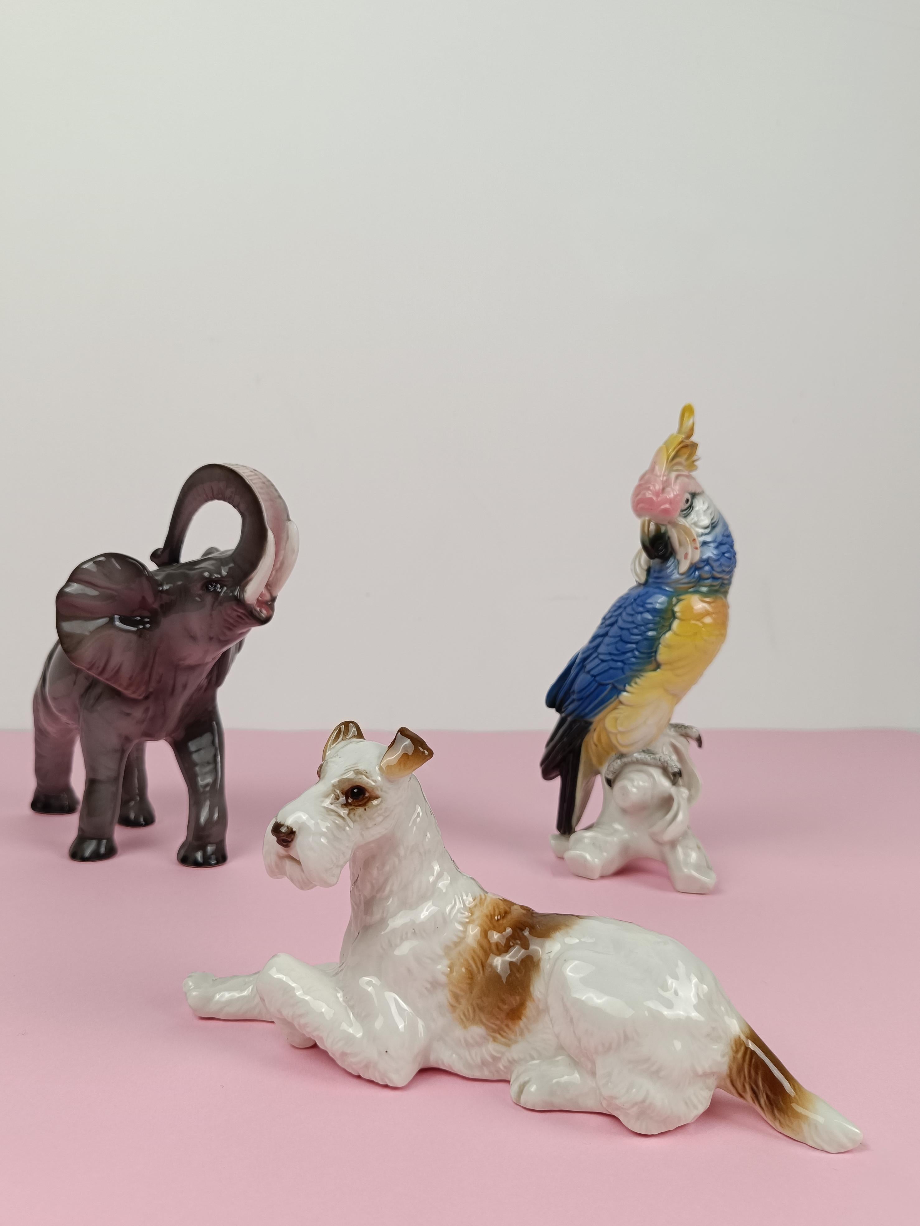 Statuetta in porcellana a forma di Wire Fox Terrier di Hutschenreuter Porcelain anni '50 in vendita 9