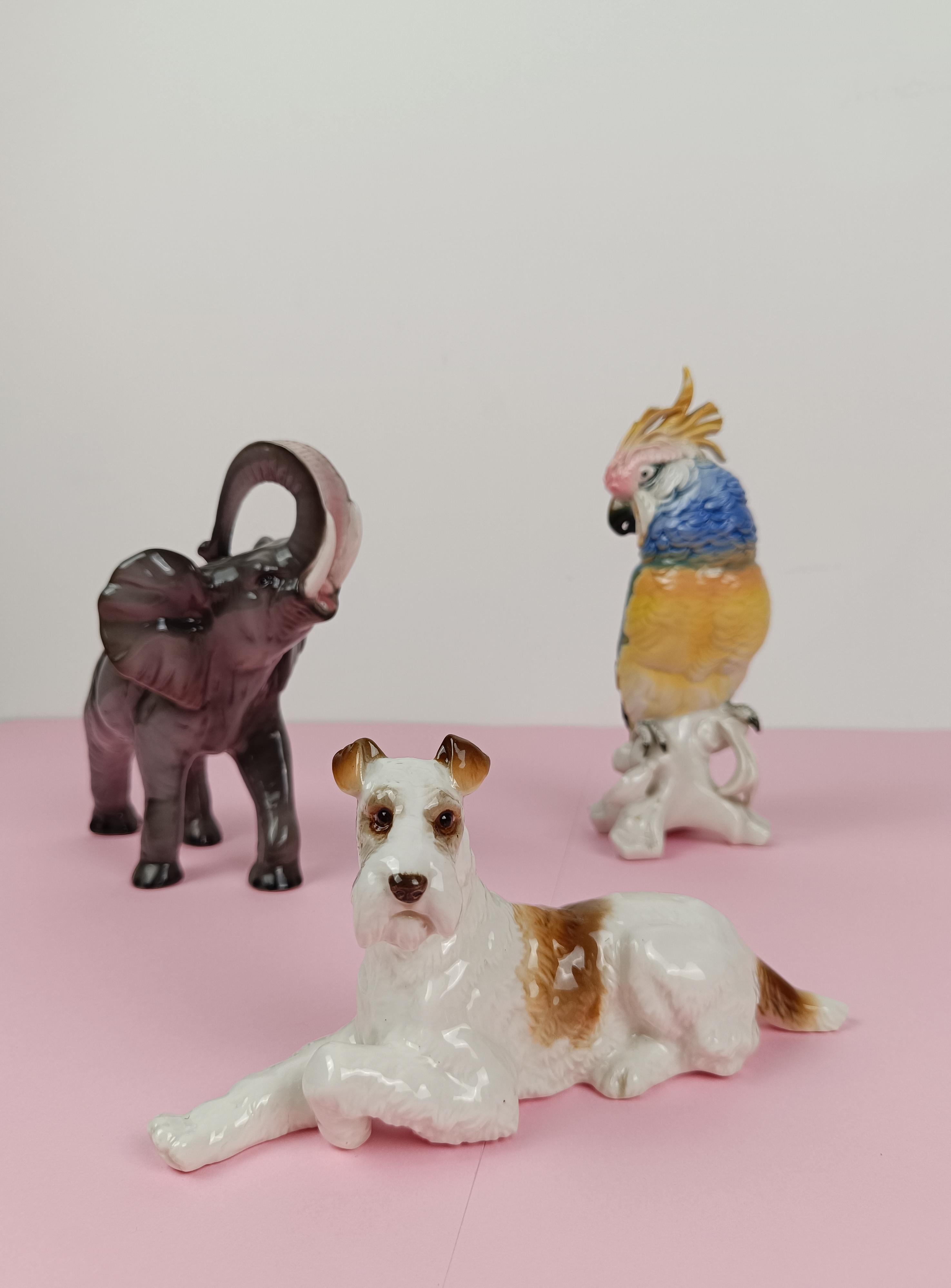 Statuetta in porcellana a forma di Wire Fox Terrier di Hutschenreuter Porcelain anni '50 in vendita 10