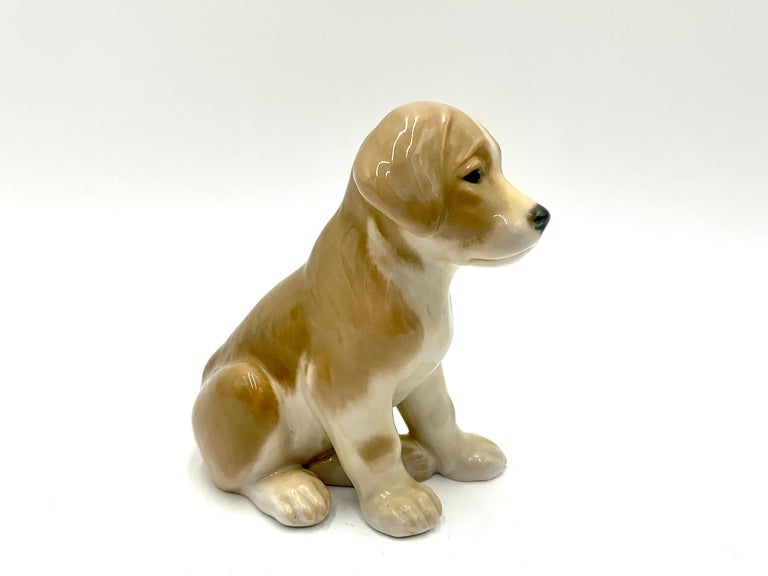 Danish Porcelain Figurine of a Bernardine Puppy, Bing & Grondahl, Denmark For Sale