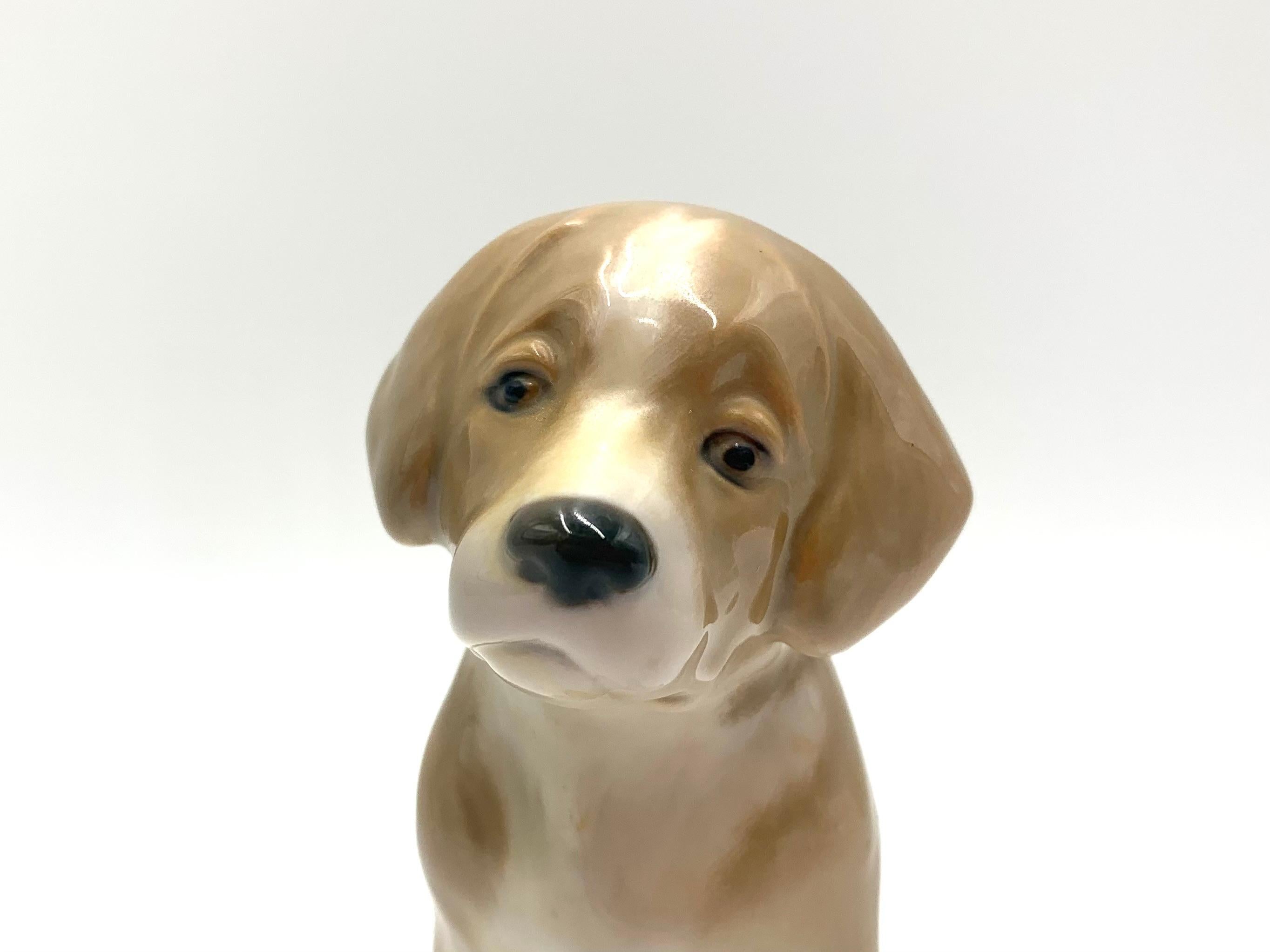 20th Century Porcelain Figurine of a Bernardine Puppy, Bing & Grondahl, Denmark For Sale