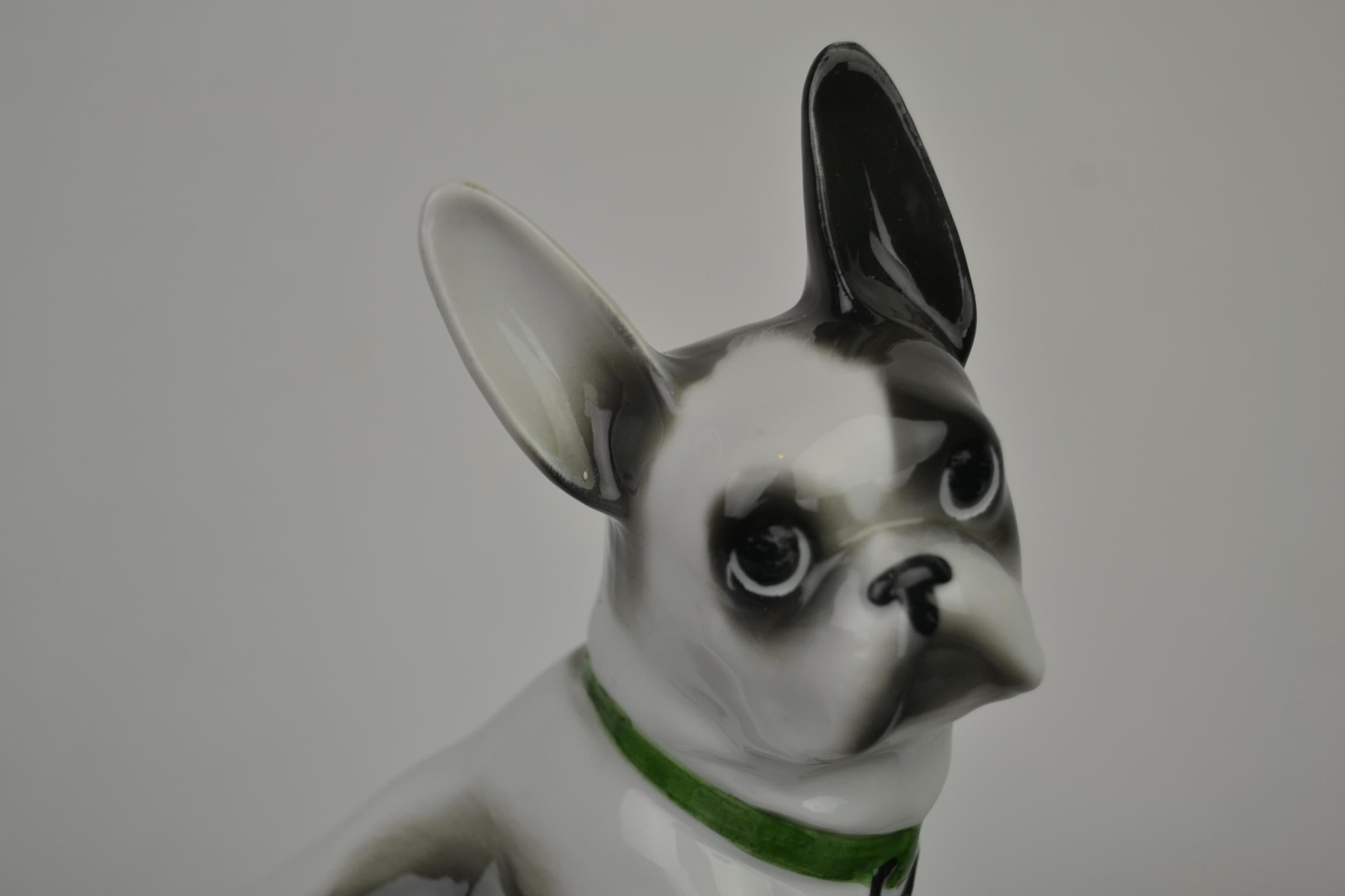 Porcelain French Bulldog, Boston Terrier Sculpture with Green Collar In Good Condition In Antwerp, BE