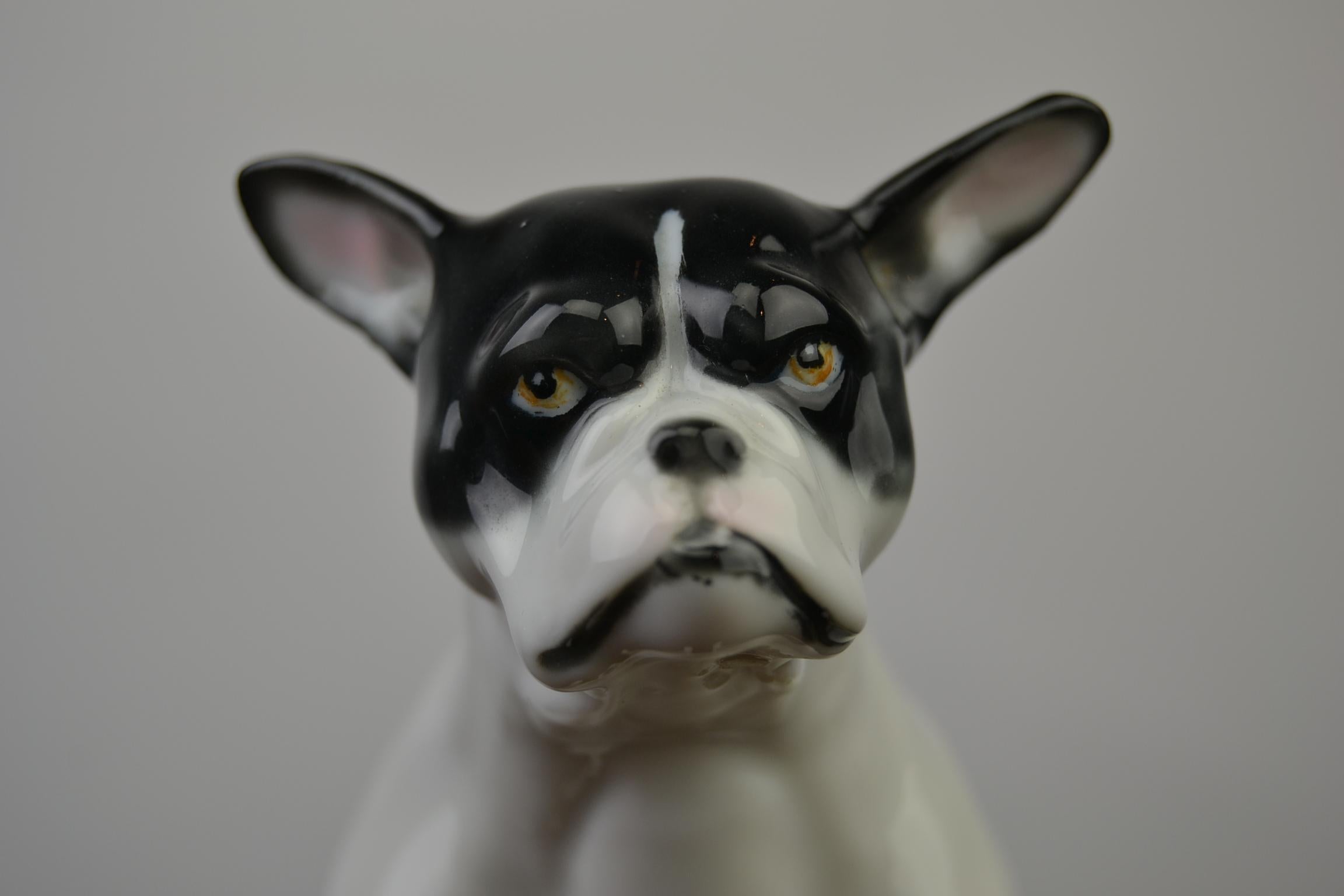 Französische Bulldogge-Figur aus Porzellan von Pfeffer, Deutschland, frühes 20. Jahrhundert im Angebot 6