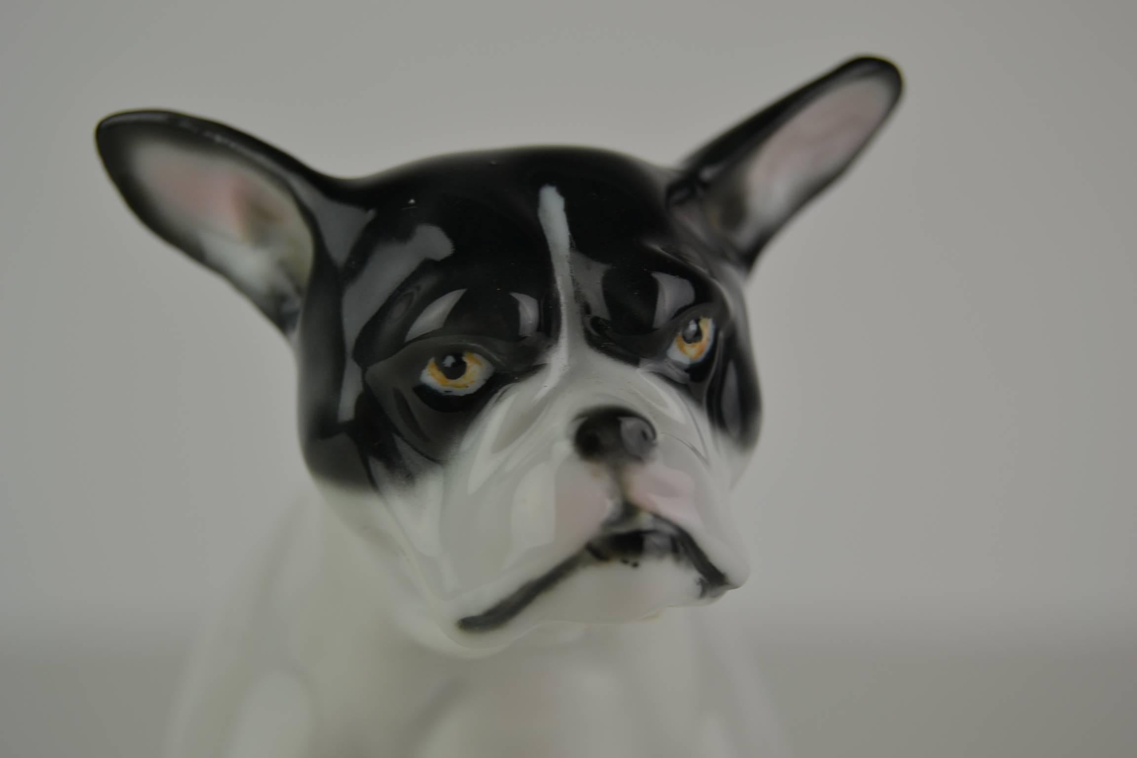 Französische Bulldogge-Figur aus Porzellan von Pfeffer, Deutschland, frühes 20. Jahrhundert im Angebot 7