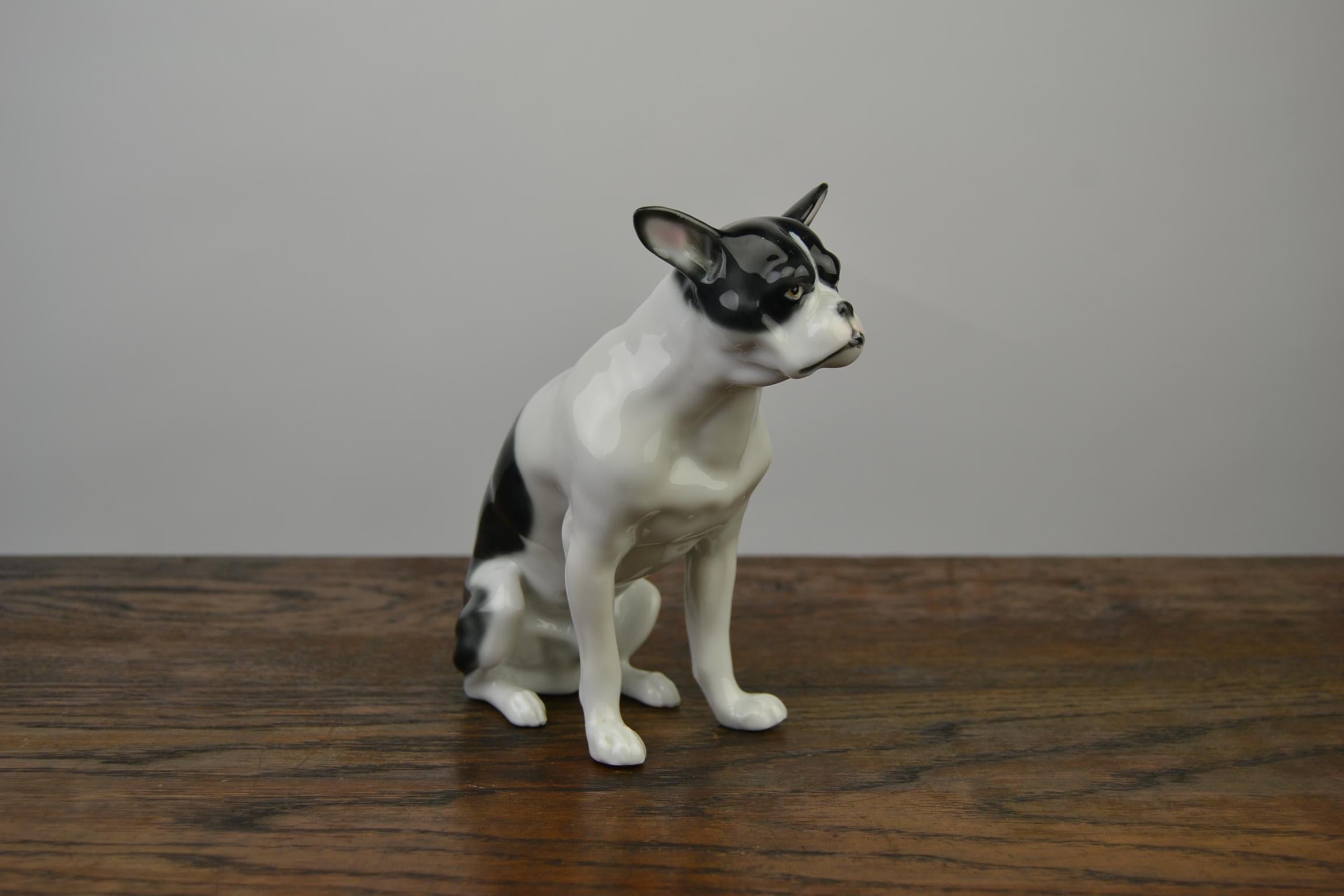 Französische Bulldogge-Figur aus Porzellan von Pfeffer, Deutschland, frühes 20. Jahrhundert im Angebot 9