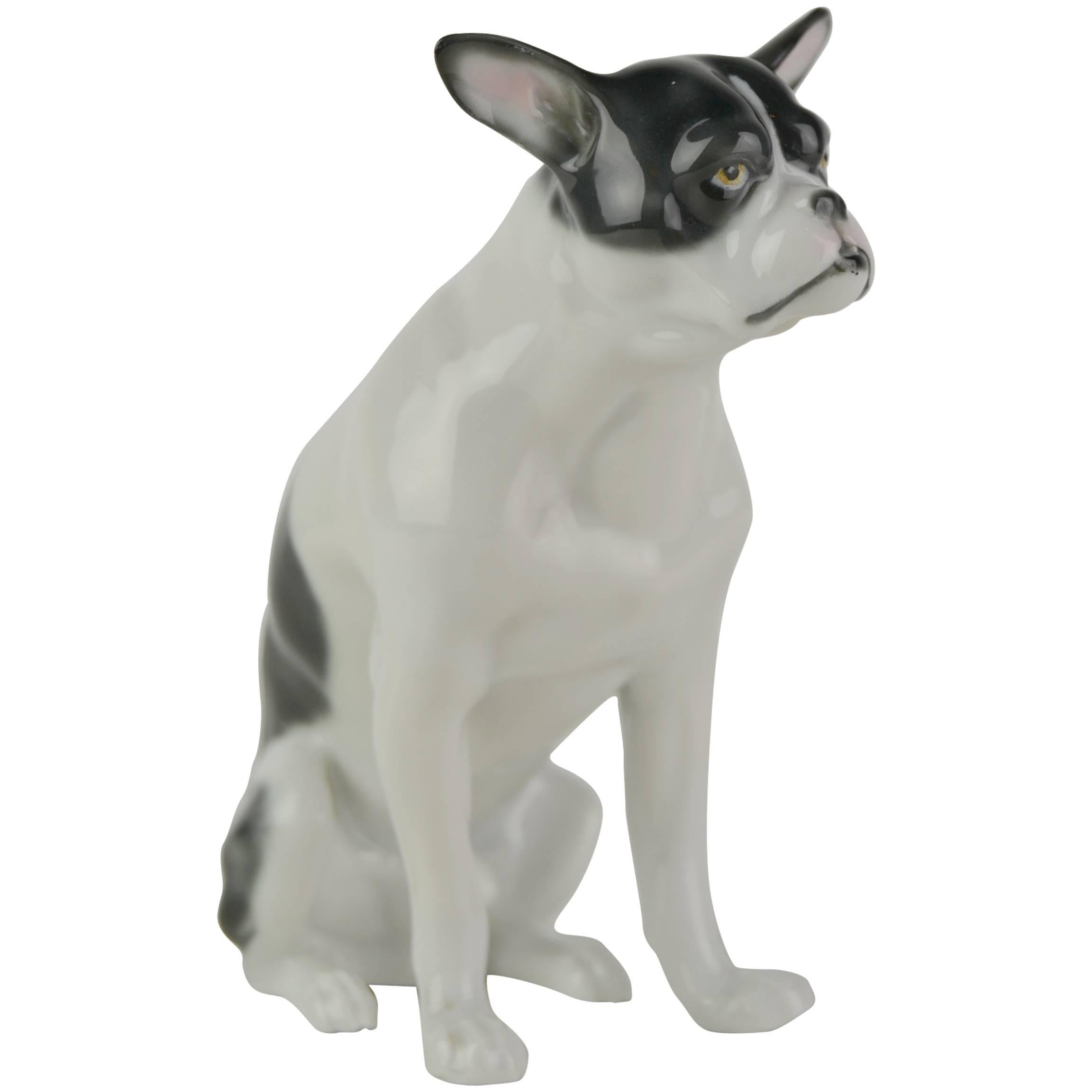 Porcelain French Bulldog Figurine by Pfeffer, Germany, Early 20th Century For Sale 11