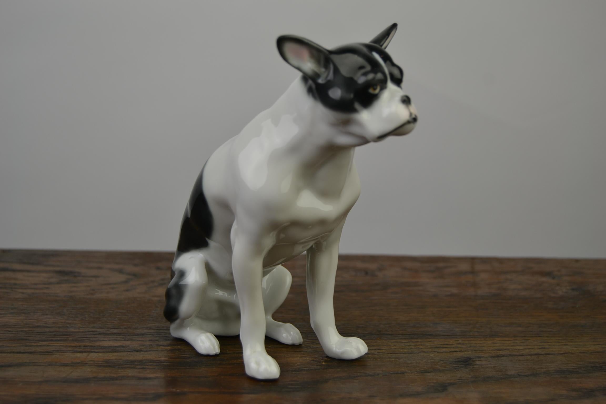 Französische Bulldogge-Figur aus Porzellan von Pfeffer, Deutschland, frühes 20. Jahrhundert (Art déco) im Angebot