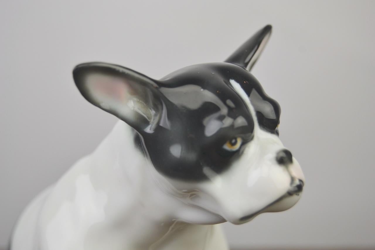 Art Deco Porcelain French Bulldog Figurine by Pfeffer, Germany, Early 20th Century For Sale
