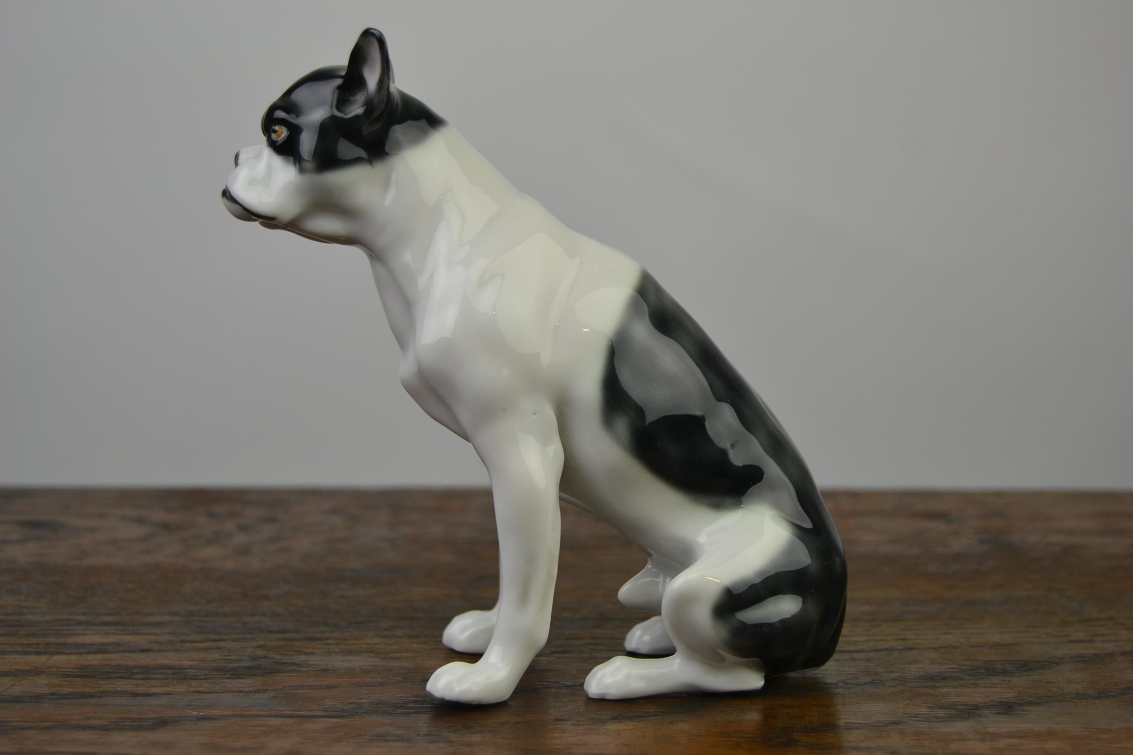 Französische Bulldogge-Figur aus Porzellan von Pfeffer, Deutschland, frühes 20. Jahrhundert im Angebot 3