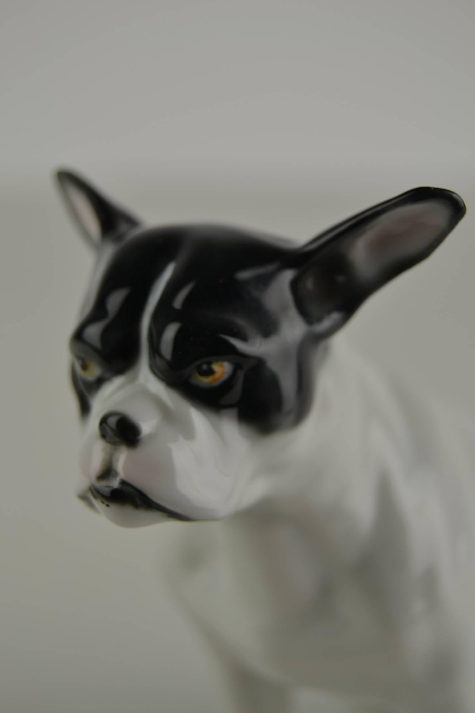 Porcelain French Bulldog Figurine by Pfeffer, Germany, Early 20th Century For Sale 3