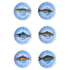 Porcelain Hanging Platters "Piscibus" by Piero Fornasetti