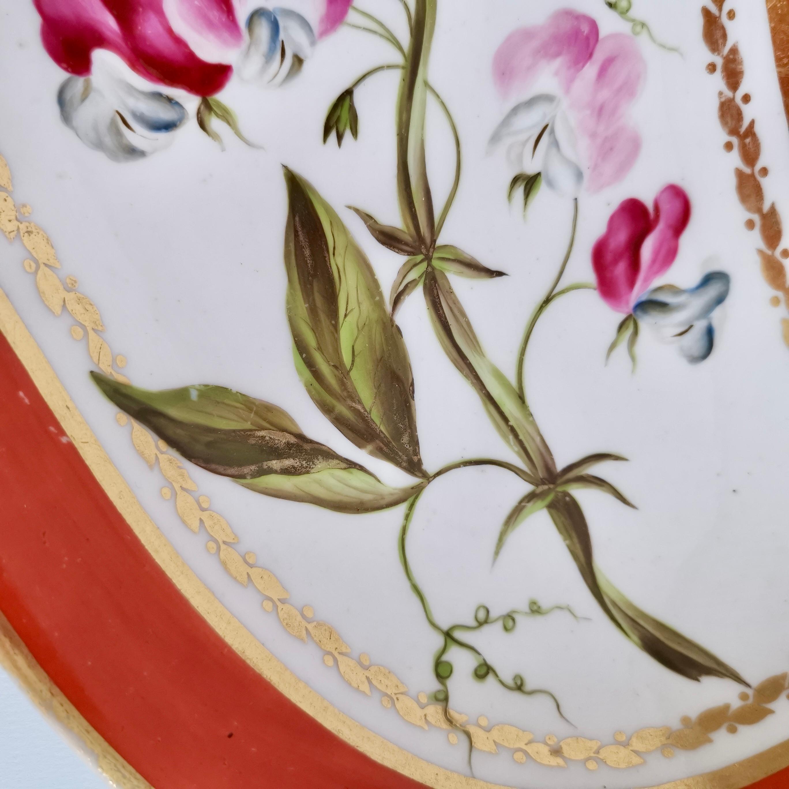 English Porcelain Kidney Dish, Derby, Red, Named Botanical attr. John Brewer, 1795-1800