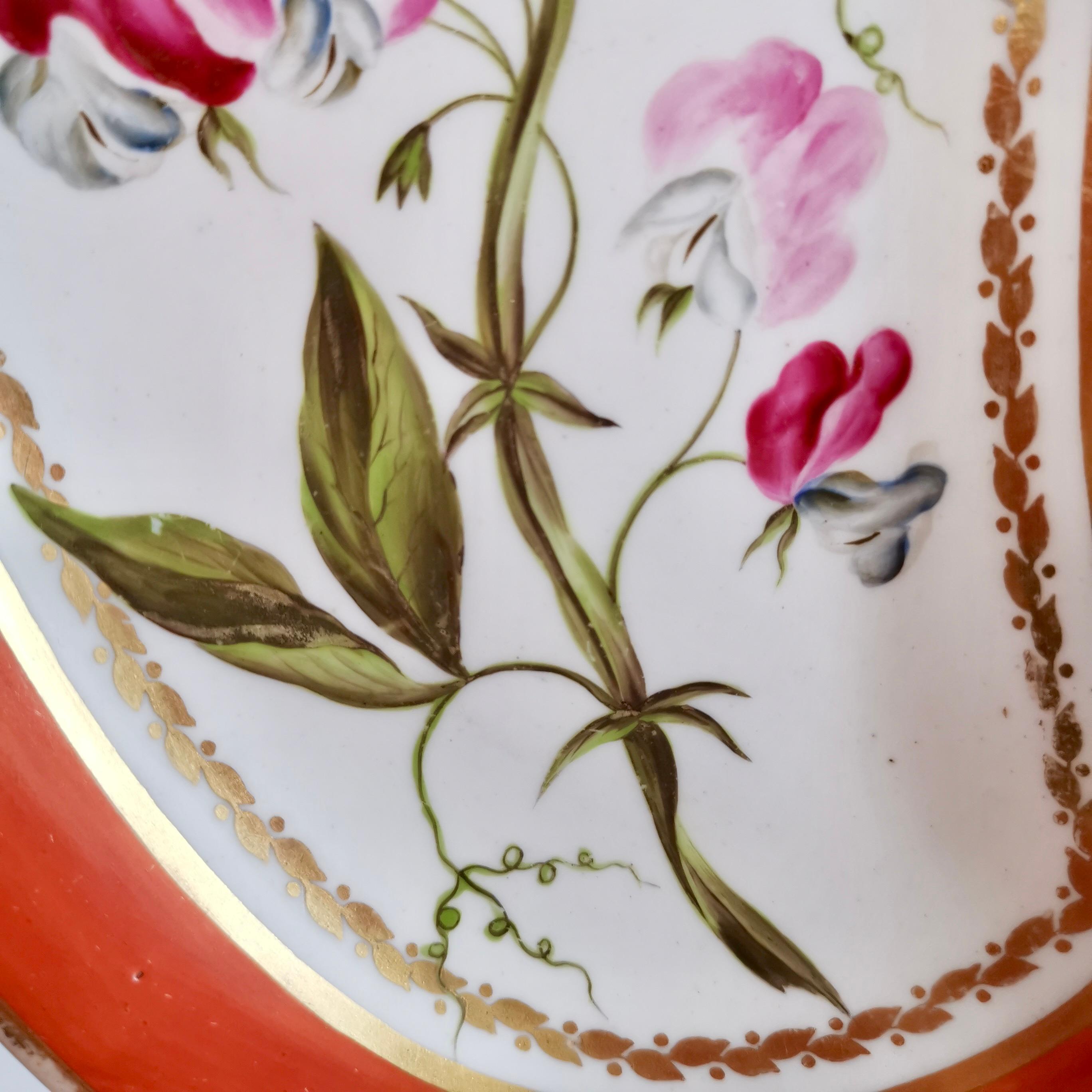 Porcelain Kidney Dish, Derby, Red, Named Botanical attr. John Brewer, 1795-1800 1
